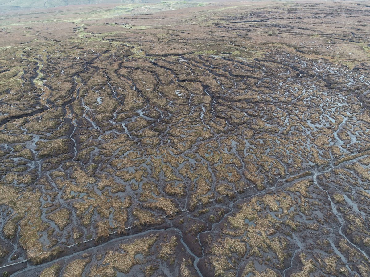 Environment Agency tweet media