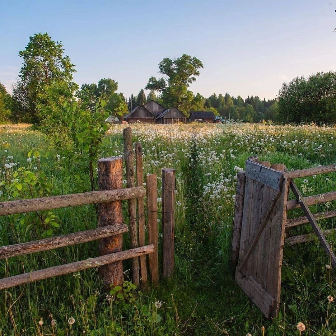 greendreamvibes's tweet image. 