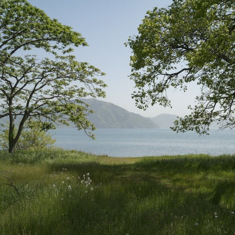 greendreamvibes's tweet image. 