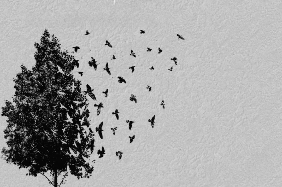 "Emeğine yanarmış insan giden zaten hikaye."