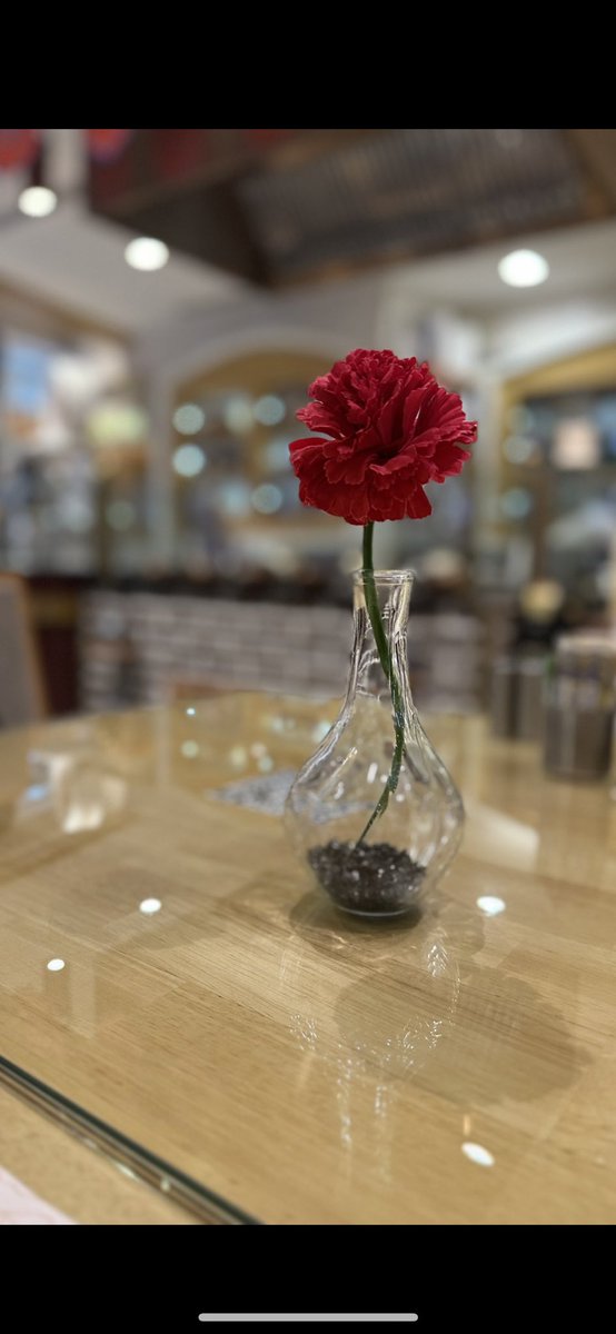 غيبتي من ظروف،،ورجعتي من غلا
جيت لك والمشاعر ماعليها غبار 

.

.

#مرحبا