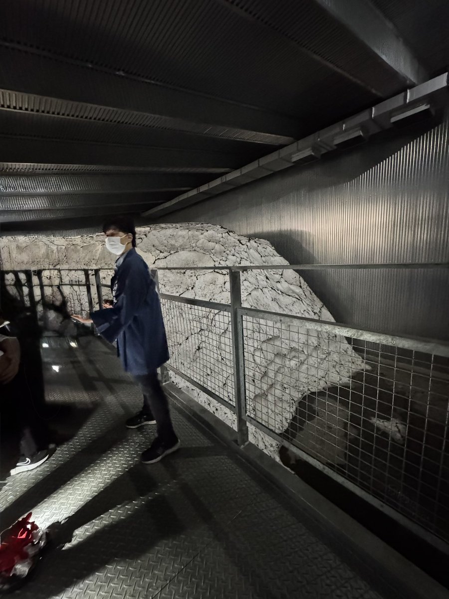 springo🍏 tweet media