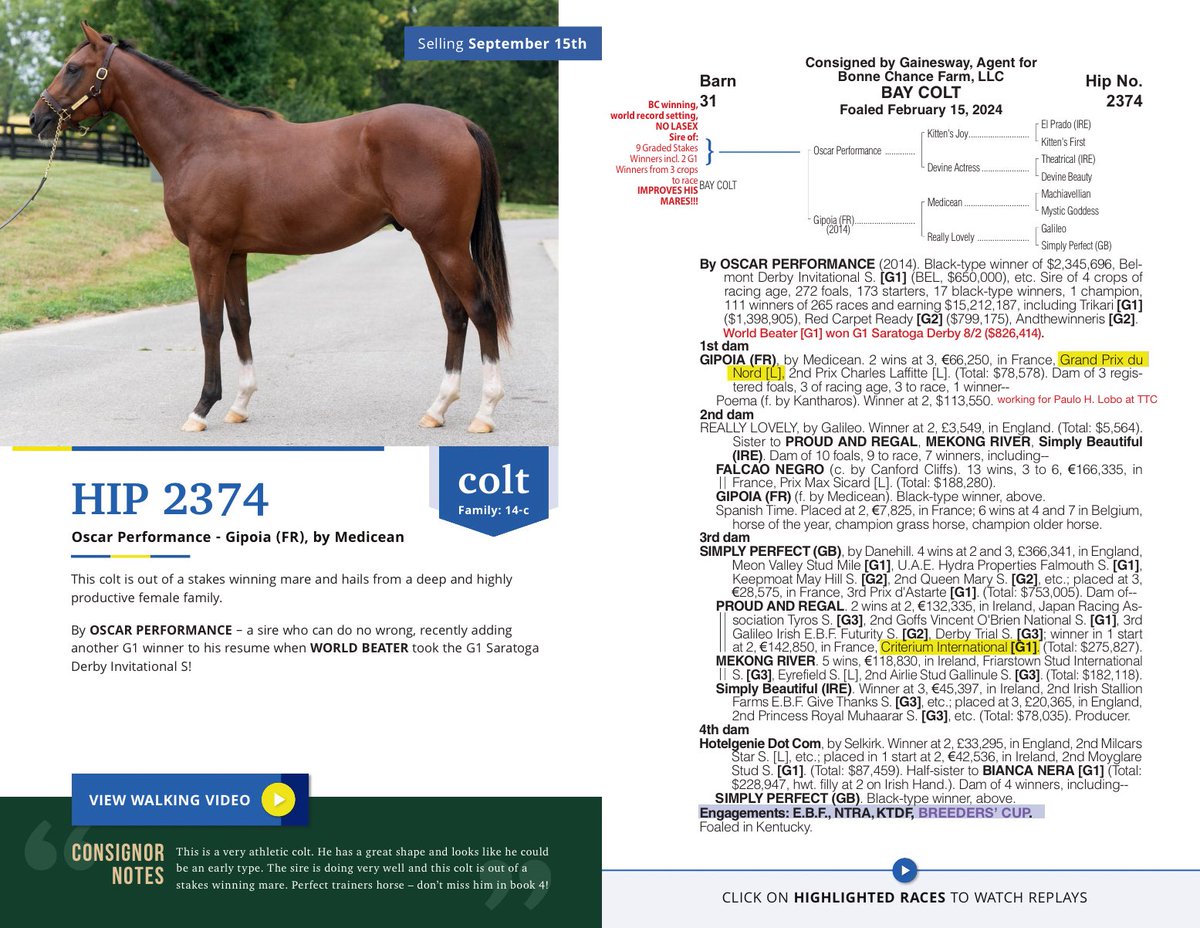 ✨Book 4 Highlight✨ Selling today #BonneChanceBred Hip 2374, a colt by the leading sire of GSHs as a % of starters - OSCAR PERFORMANCE! Out of a stakes winning mare from a family of consistent black type performers! Walking vids &amp; interactive pedigrees ➡️issuu.com/studio34p/docs…