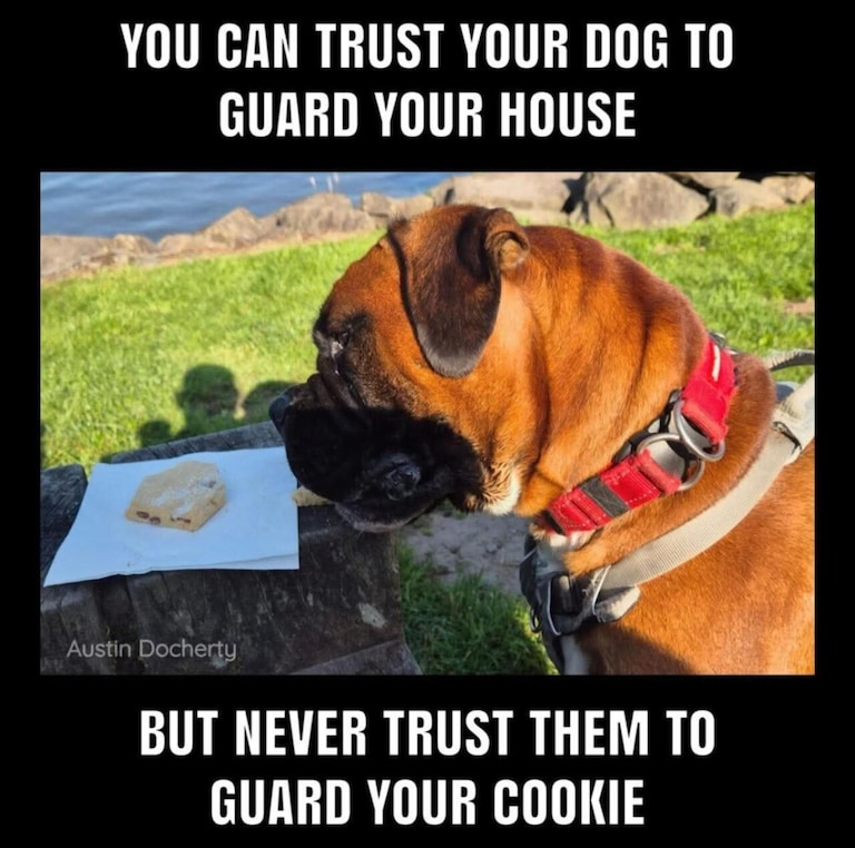 BruceWallab44's tweet image. #MondayMusing 🤔