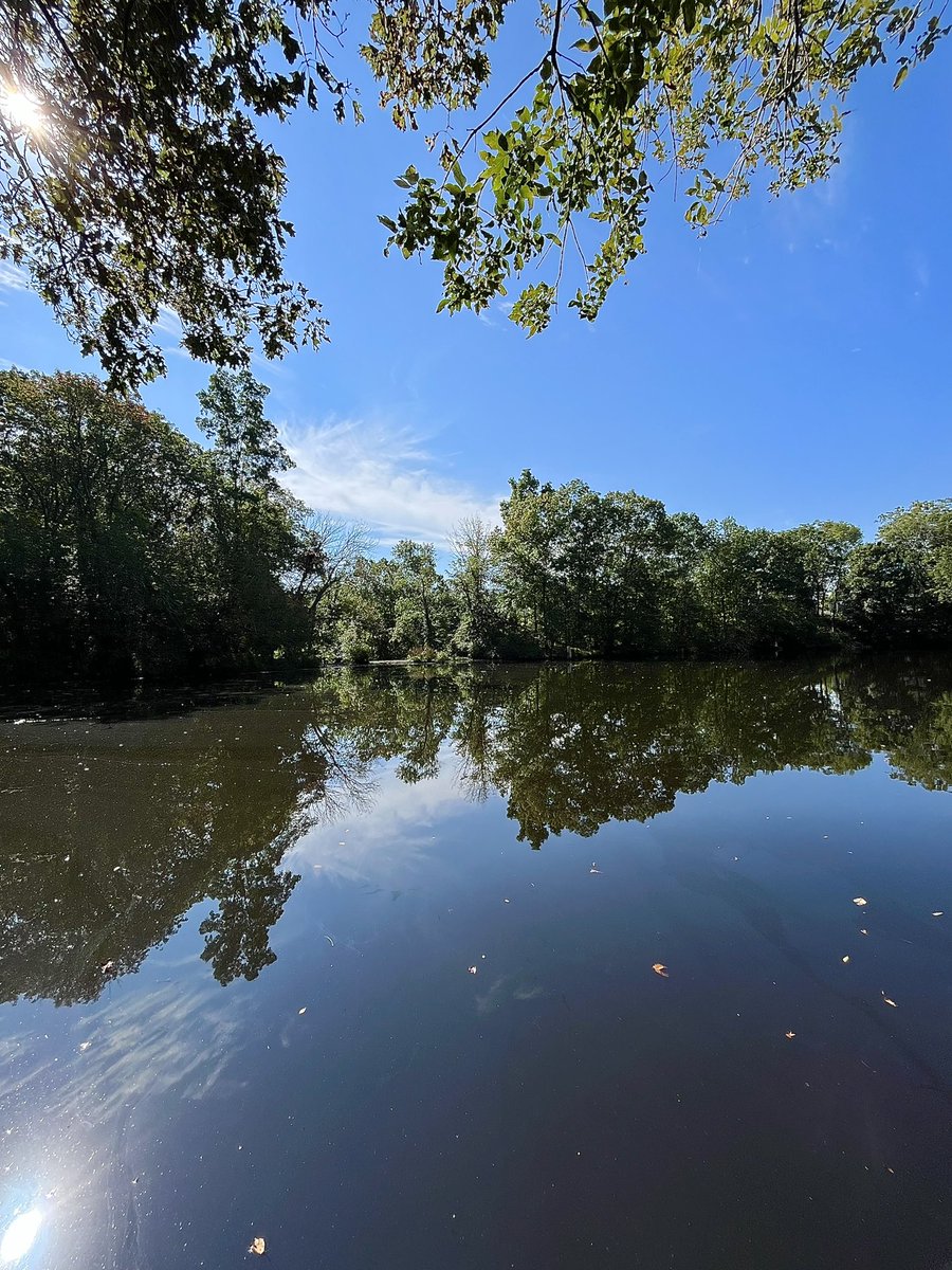 feli_casey's tweet image. ~ wishing a happy week to all ~ ❤️