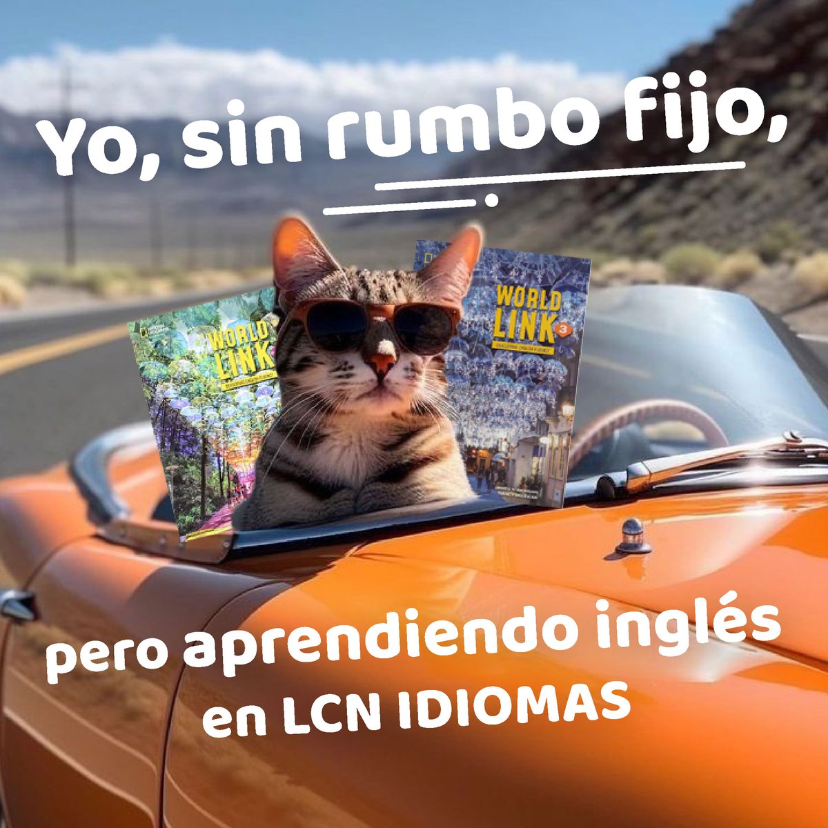 LCN Idiomas tweet media