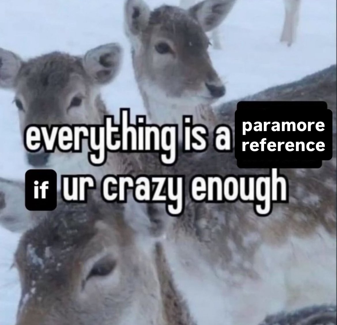 colormeandrea's tweet image. 