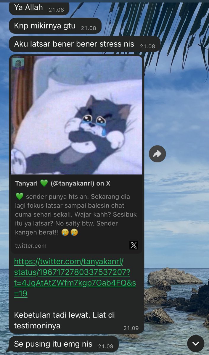 MEOWWWW tweet media