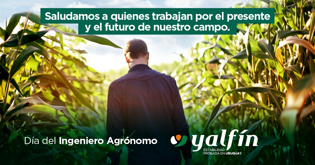 En el Día del Ingeniero Agrónomo, saludamos a quienes acompañan el desarrollo del campo con conocimiento, compromiso y cercanía.

Gracias por sembrar futuro. 🌱
#DíaDelIngenieroAgrónomo #Yalfín