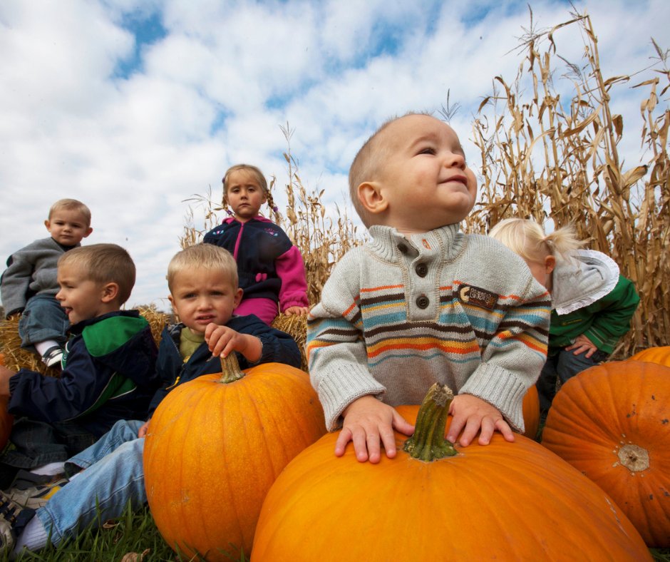 From mid-September through October, North Dakota becomes a fall-lover’s dream. Pumpkin patches, corn mazes…which autumn tradition tops your list? ftglnd.com/fallactivities
📍 A-Maze-N' Clowns Pumpkin Patch (Jamestown), Nelson’s Pumpkin Patch (Emerado), Bale Maze (Grafton)