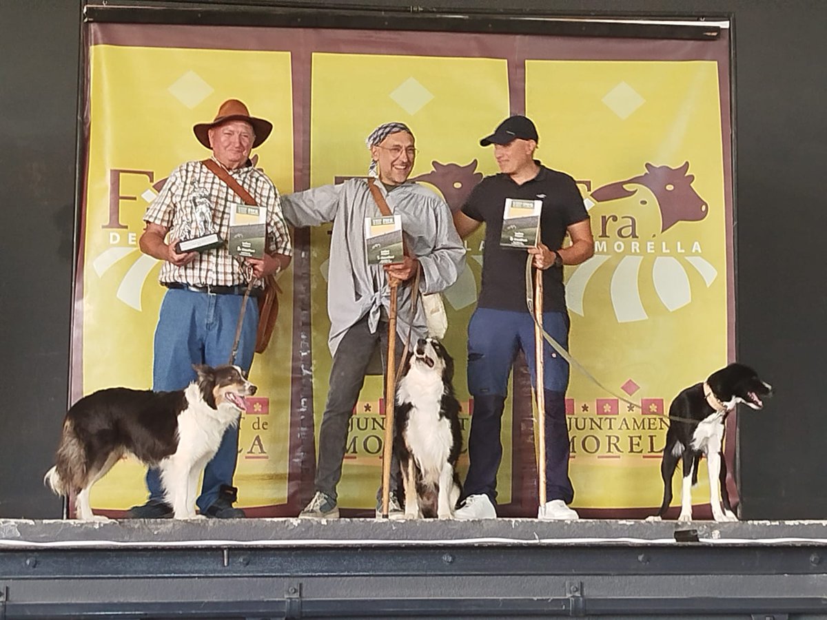 Juanjo Pastor Assaga tweet media