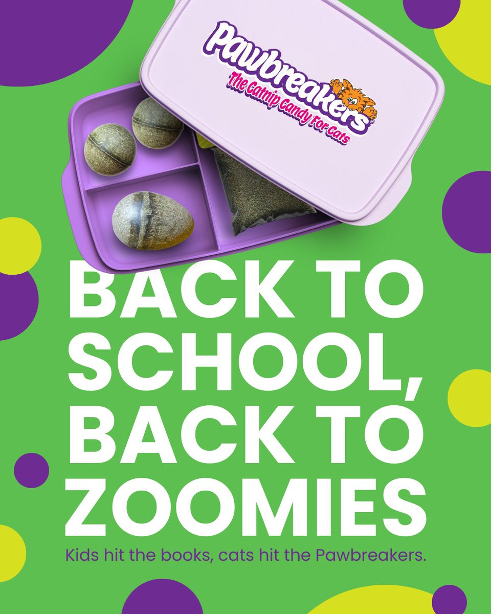 MrCatnip_222's tweet image. Your cat just scored the ultimate study snack.😹✏️
While the kids are hitting the books, your furry friend is hitting the Pawbreaker.
#pawbreakers #schoollunch #backtoschoolstyle #toocoolforschool #schoolsupplies #schoolstarts
wix.to/51nuqOV