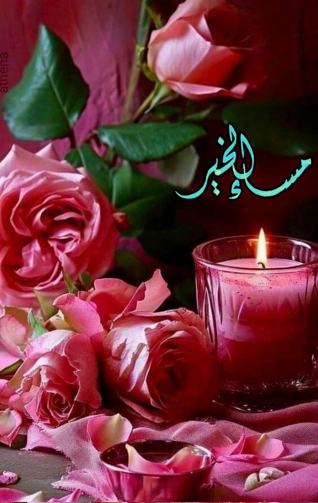 #بدايـــــــہ
<a href="/shyma_alii/">شيماء</a> 
<a href="/Alsadi39/">Alsadi Mahar</a> 
<a href="/1o1Da/">🔥 تابعني اتابعك 🔥</a> 
<a href="/2V5U5/">شروق اليافعي</a> 
<a href="/_wali_d/">Walid Obaid</a> 
<a href="/Luvle26/">Chista Peña</a> 
<a href="/A_nse14/">أبو عماد</a> 
<a href="/giu773/">ساره</a> 
<a href="/orj_nr6/">أشرَف.</a> 
<a href="/an_oc9/">نجود علي</a> 
<a href="/Y_O_U_S_1/">✨️ YOUSIF ✨️</a> 
<a href="/Talal_Fadi_/">Talal fadi</a> 
<a href="/walid11150/">هادي همدان بديل</a> 
<a href="/alozaib_11/">Wajeehalozaib</a> 
<a href="/wa_7718/">kkkkkkk</a> 
<a href="/Ea0Ch/">✨AM</a> 
<a href="/mo313e/">حسين رضا الكاظمي</a> 
<a href="/Imadlfc/">ᎥᎷᎯᎠ ᏞᎰᏨ</a> 
<a href="/Raad_811/">شامخ كياني</a> 
<a href="/ghmdan121/">كفى ذلاً</a> 
<a href="/ahmedhifny6/">ahmed hifny</a> 
<a href="/sh_h_aa/">Bin Qahtan</a> 
<a href="/EAbbas079/">عباس العزي</a> 
<a href="/Raad_811/">شامخ كياني</a> 
<a href="/Pbbi999/">Kingdom spirit</a>