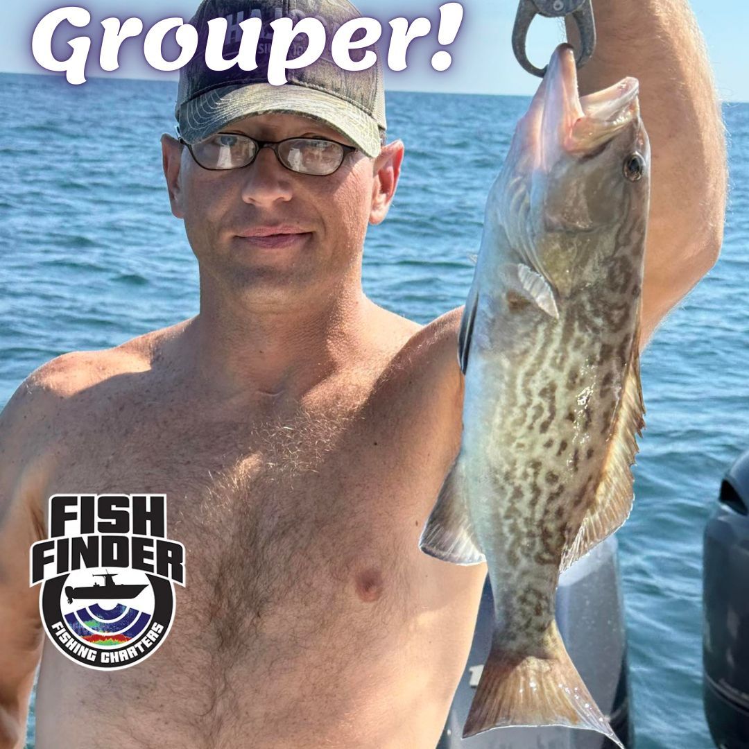 FishFinderFleet's tweet photo. The grouper bite has been fantastic. And grouper make some of the tastiest table fare you’ll find in the Lowcountry. 

Nothing better than reeling in your own dinner just a short ride from Murrells Inlet. 🐟🍴

#MurrellsInlet #HammockCoast #FishFinderFishing #FamilyFishing https://t.co/Tg6iJ6pp6w