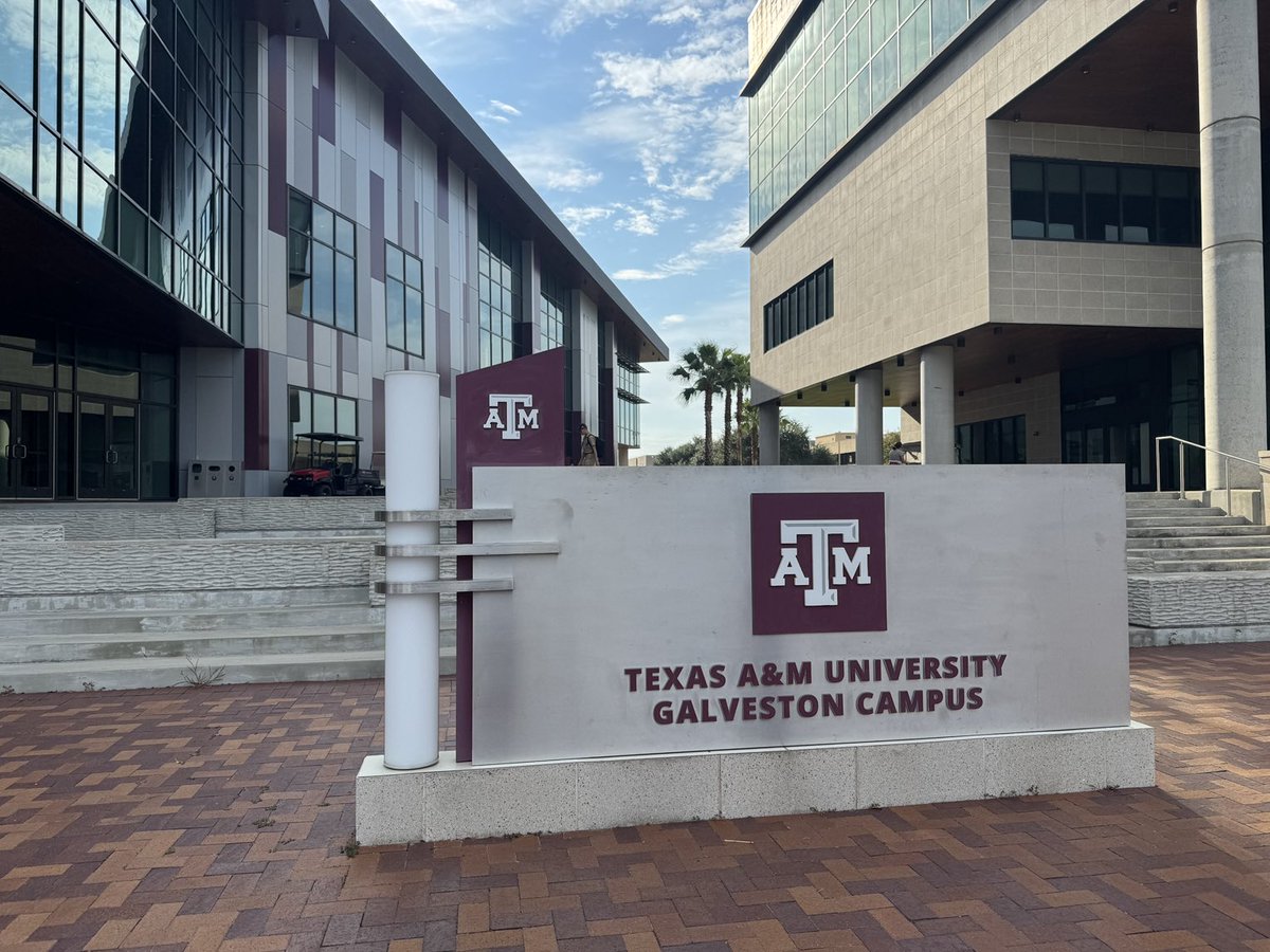 Michael E. Webber tweet media