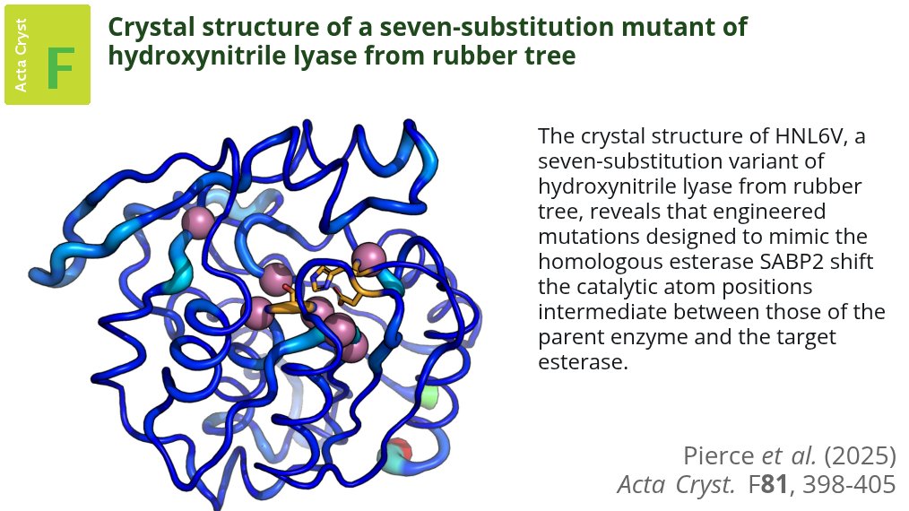 ActaCrystF's tweet photo. The structure of a 7-substitution mutant of hydroxynitrile lyase shows that targeted amino-acid substitutions can shift catalytic geometries towards those of evolutionarily related enzymes #EngineeredProteins #HydroxynitrileLyases #HydrolaseFold https://t.co/dygvkVWFEO https://t.co/9rrKvAsAQo