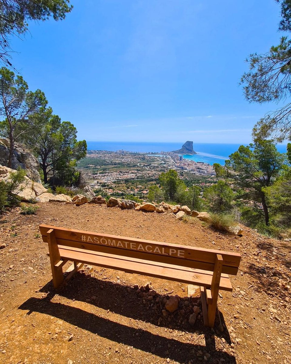 VioletSmit96889's tweet image. ˜