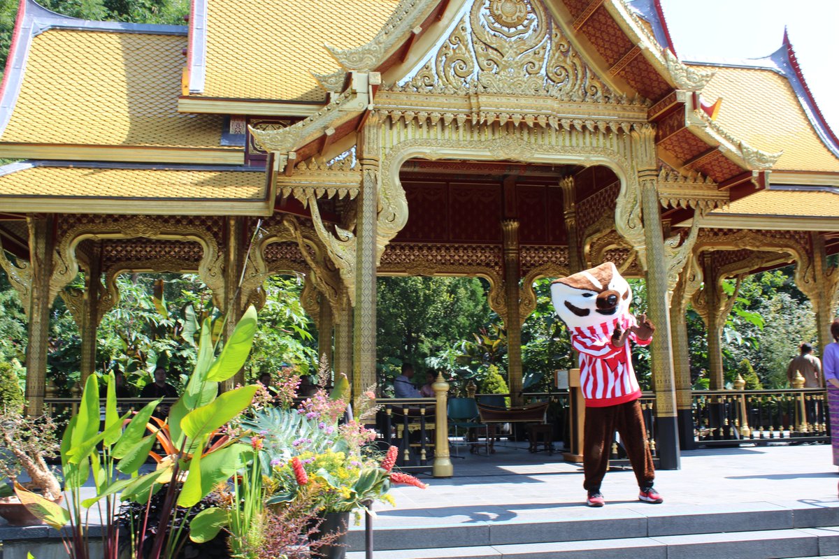 wisli_uw's tweet image. 🌸🇹🇭 WISLI was honored to join the #SalaThaiFestival at Olbrich Botanical Gardens.
@UWInternational Dean Vavrus highlighted the Thai Pavilion as a symbol of the strong bonds between Wisconsin & Thailand!
#LearnThai #WisconsinIdea