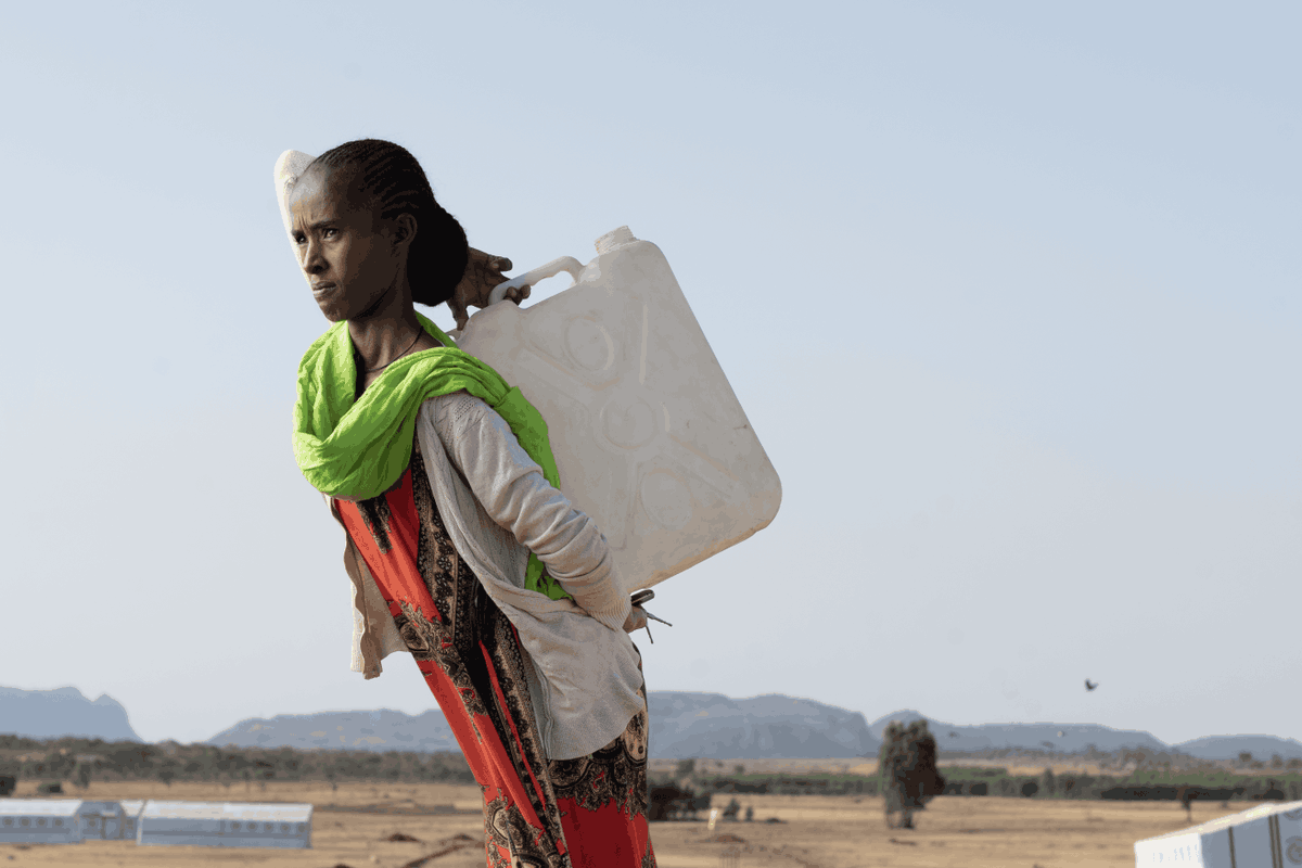 In #Ethiopia, these women are taking charge – not only nurturing the crops and crafting products by hand but also by shaping the lives they deserve.  

All with the hope of one day returning to their land. 

Read more here: iom.int/Zgm