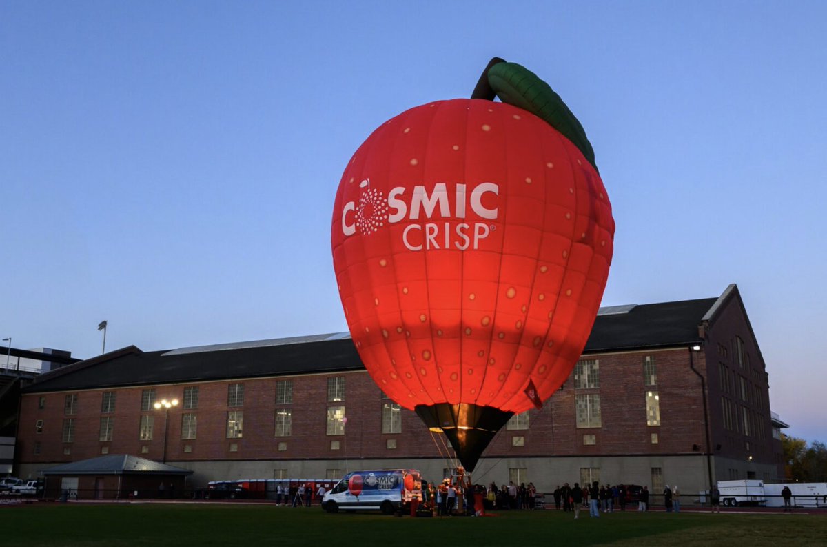 WSU CAHNRS (@wsucahnrs) on Twitter photo If you see an 80-foot <a href="/thecosmiccrisp/">Cosmic Crisp® Apple</a> apple on campus Friday, come say hi! It's part of the Apple Cup Harvest Market, a free event offering tastes of a wide range of Cougar-made foods & products. The market will be 4-6 pm Friday @ Mooberry Track & Field. news.cahnrs.wsu.edu/article/first-… If you see an 80-foot <a href="/thecosmiccrisp/">Cosmic Crisp® Apple</a> apple on campus Friday, come say hi! It's part of the Apple Cup Harvest Market, a free event offering tastes of a wide range of Cougar-made foods & products. The market will be 4-6 pm Friday @ Mooberry Track & Field. news.cahnrs.wsu.edu/article/first-…