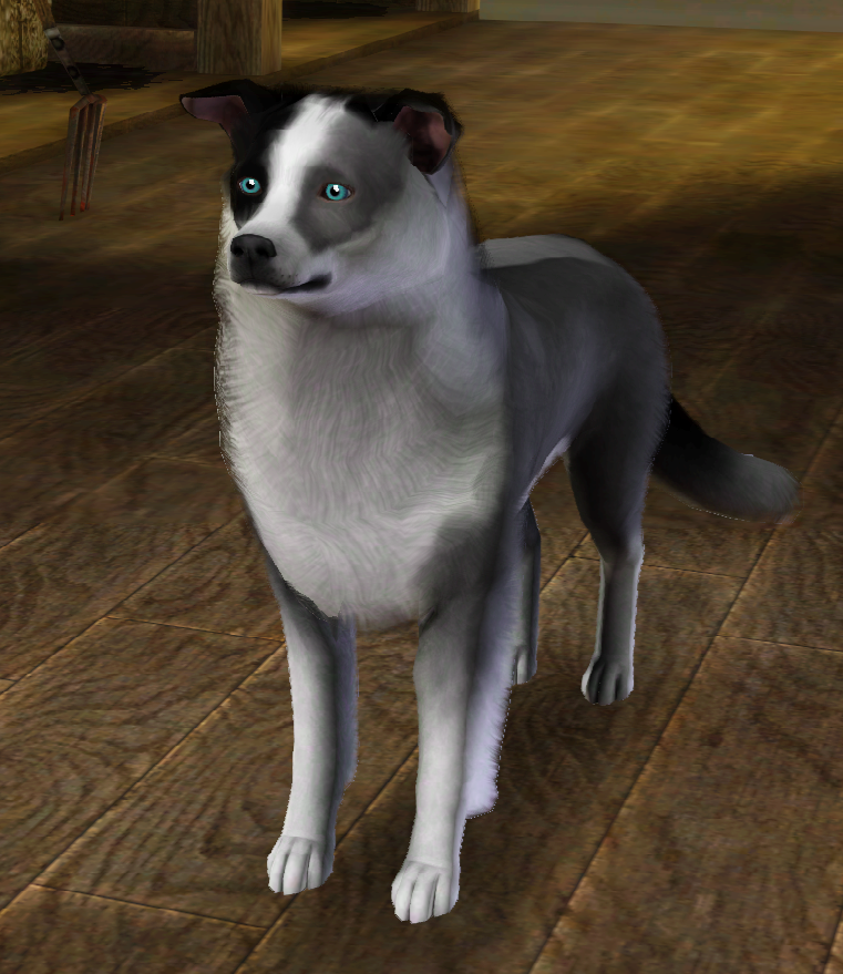 DanteDalmatyncz's tweet photo. Adults Dante and Summer in Sims 3
#TheSims3 #TheSims3Pets #Sims3 #101DS #101DalmatianStreet #UlicaDalmatyńczyków101 #Save101DalmatianStreet #101Dalmatyńczyków #101Dalmatians https://t.co/zlLOWChnY1