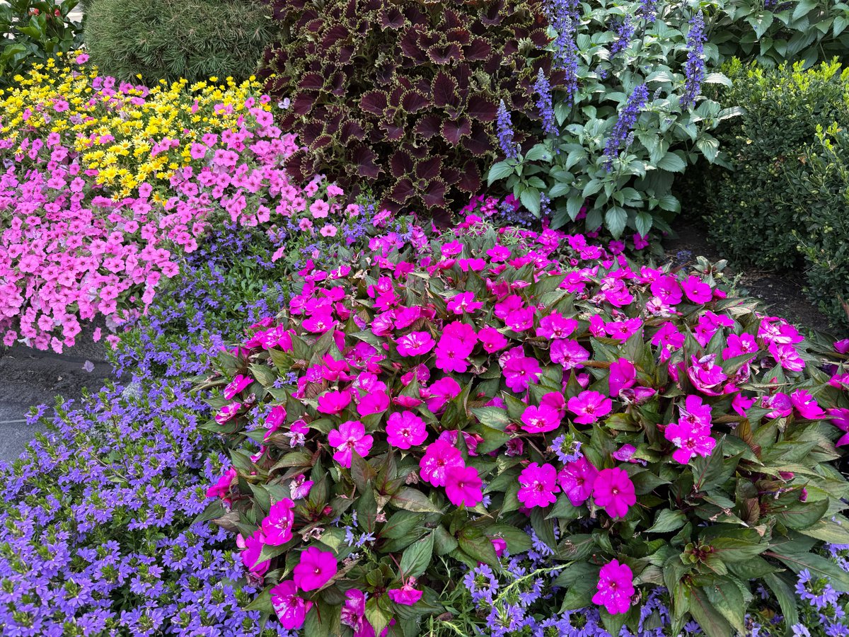 Ronnie Bell tweet media