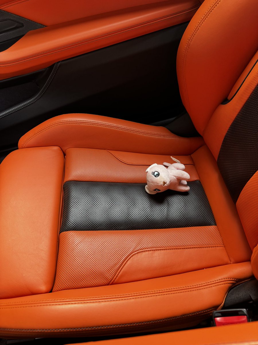 2019/2025, талисман мой