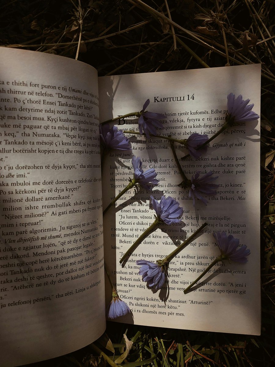 FayOfNature's tweet image. —— “I  don't like that falling feels like flying 'til the bone crush.”

Aquelarre Escorpio. Fae de la naturaleza. Sanador y guardián de los bosques. Homosexual. Inmortal. 

} RT para ayudarme a encontrar gente con la que crear tramas bonitas. 
} Like para vernos al DM.