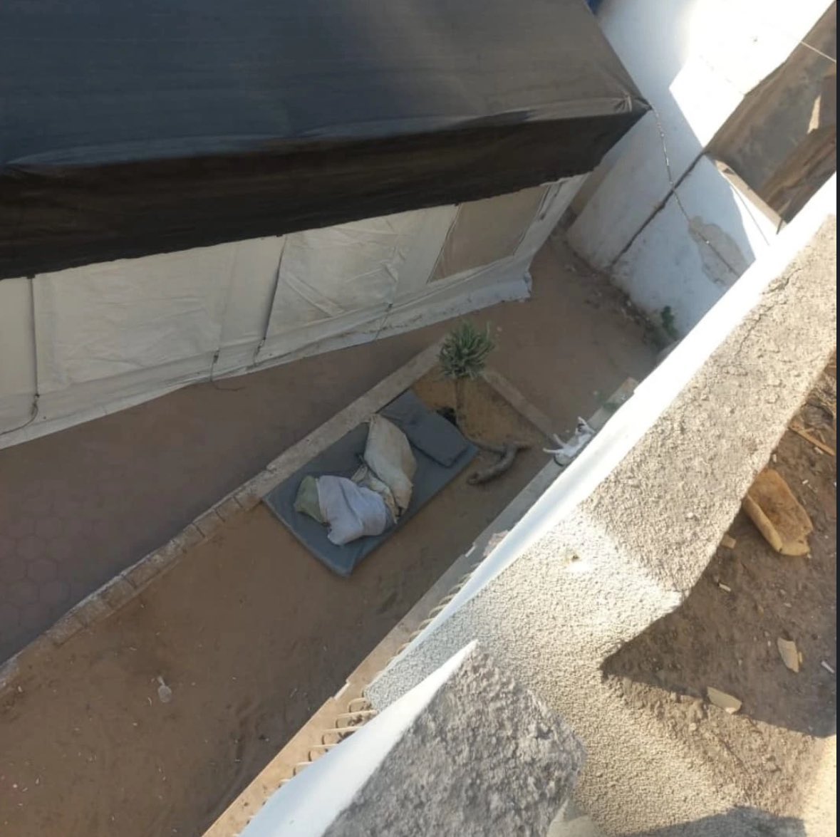 Dr. Mustafa Naim şöyle yazdı:

“Bugün, sürekli bombalanan ve içinde tıbbi personelin bile yaralandığı ve şehit olduğu Baptist Hastanesi’ndeki nöbetim sırasında başıma geldi… Ameliyat bölümünün penceresinden avluyu izlerken yerde yırtılmış bir çuval gördüğümü sandım.