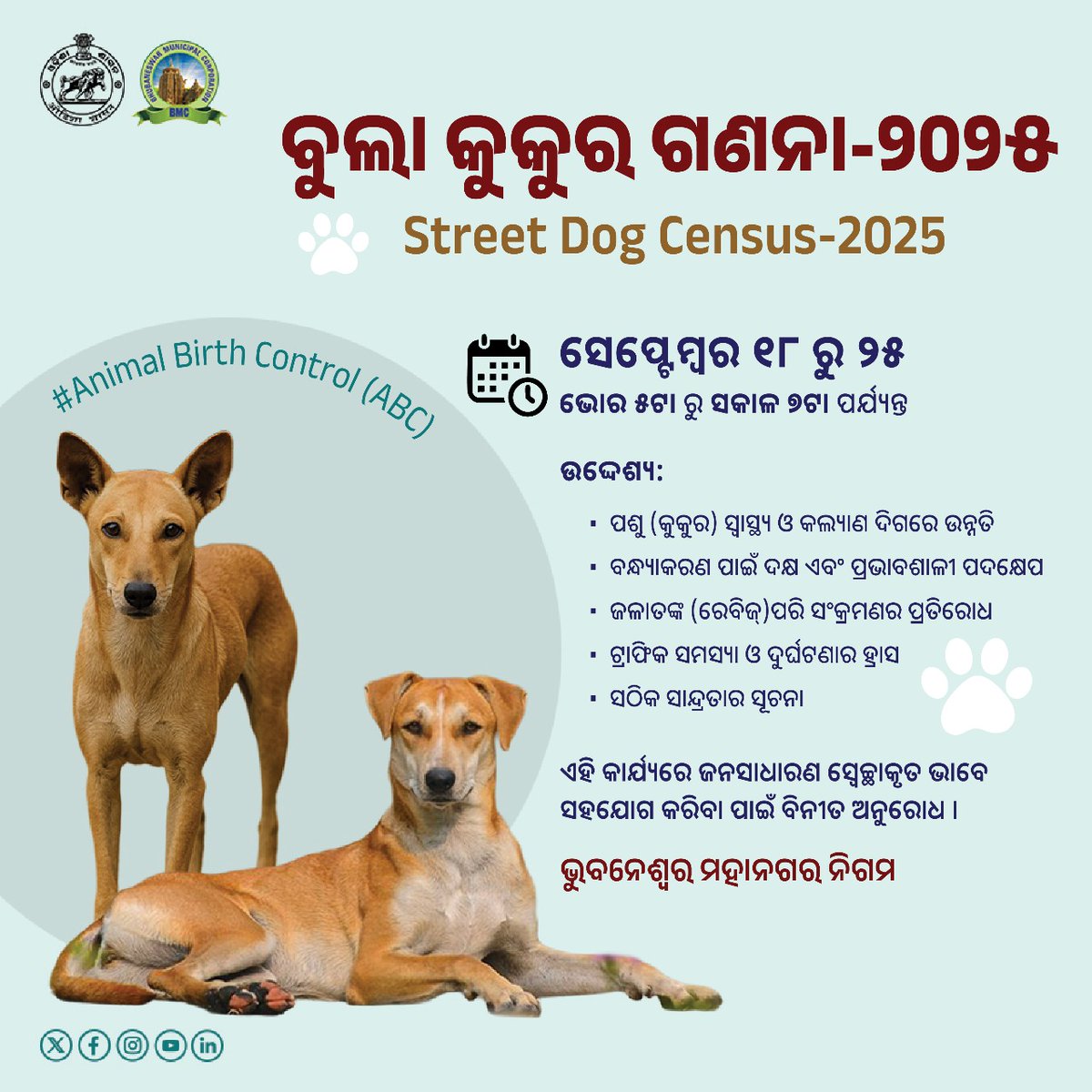 bmcbbsr's tweet photo. ବିଏମ୍ ସି ପକ୍ଷରୁ ଆସନ୍ତା 17 ତାରିଖ ଦିନ “ମା’ ପାଇଁ ଗଛଟିଏ” କାର୍ଯ୍ୟକ୍ରମ ଅଧିନରେ ମେଗା ବୃକ୍ଷ ରୋପଣ କାର୍ଯ୍ୟ ସହ ଅନ୍ୟାନ୍ୟ କାର୍ଯ୍ୟକ୍ରମ କରାଯାଉଥିବାରୁ ବୁଲା କୁକୁର ଗଣନା କାର୍ଯ୍ୟକ୍ରମ ସେପ୍ଟେମ୍ୱର 18 ତାରିଖରୁ 25 ତାରିଖ ପର୍ଯ୍ୟନ୍ତ ଅନୁଷ୍ଠିତ ହେବ । ଏଥିପାଇଁ ଜନ ସାଧାରଣ ସହଯୋଗ କରିବାକୁ ଅନୁରୋଧ । https://t.co/rnxvf0B71e