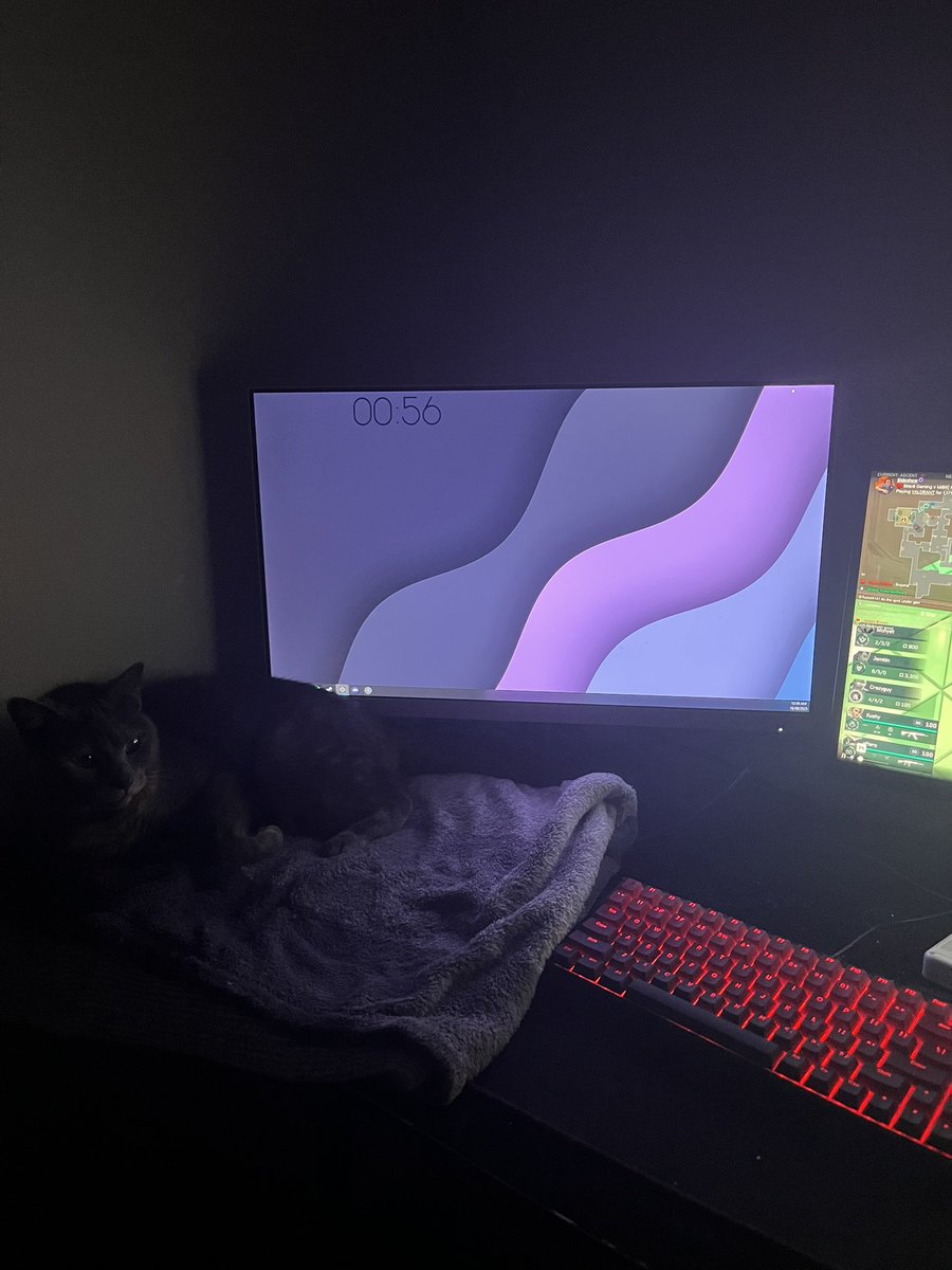 ellie🏳️‍⚧️ tweet media