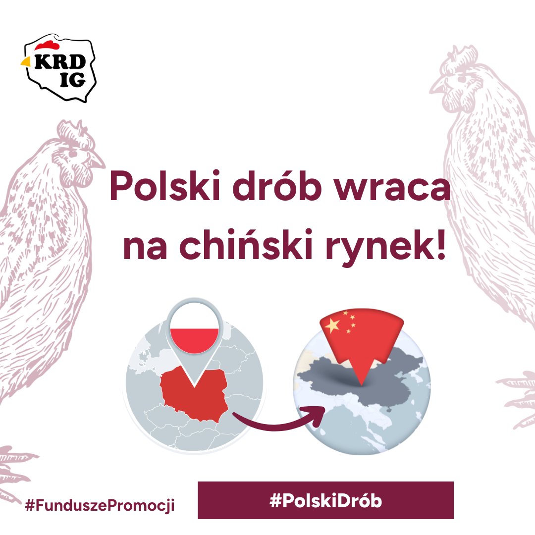 🇵🇱 Polski drób wraca na chiński rynek!

Dzisiaj w Ministerstwie Rolnictwa i Rozwoju Wsi podpisano porozumienie dotyczące stosowania regionalizacji w przypadku grypy ptaków. Dzięki temu polskie mięso drobiowe ponownie trafi na stoły w Chinach a ograniczenia będą dotyczyć wyłącznie