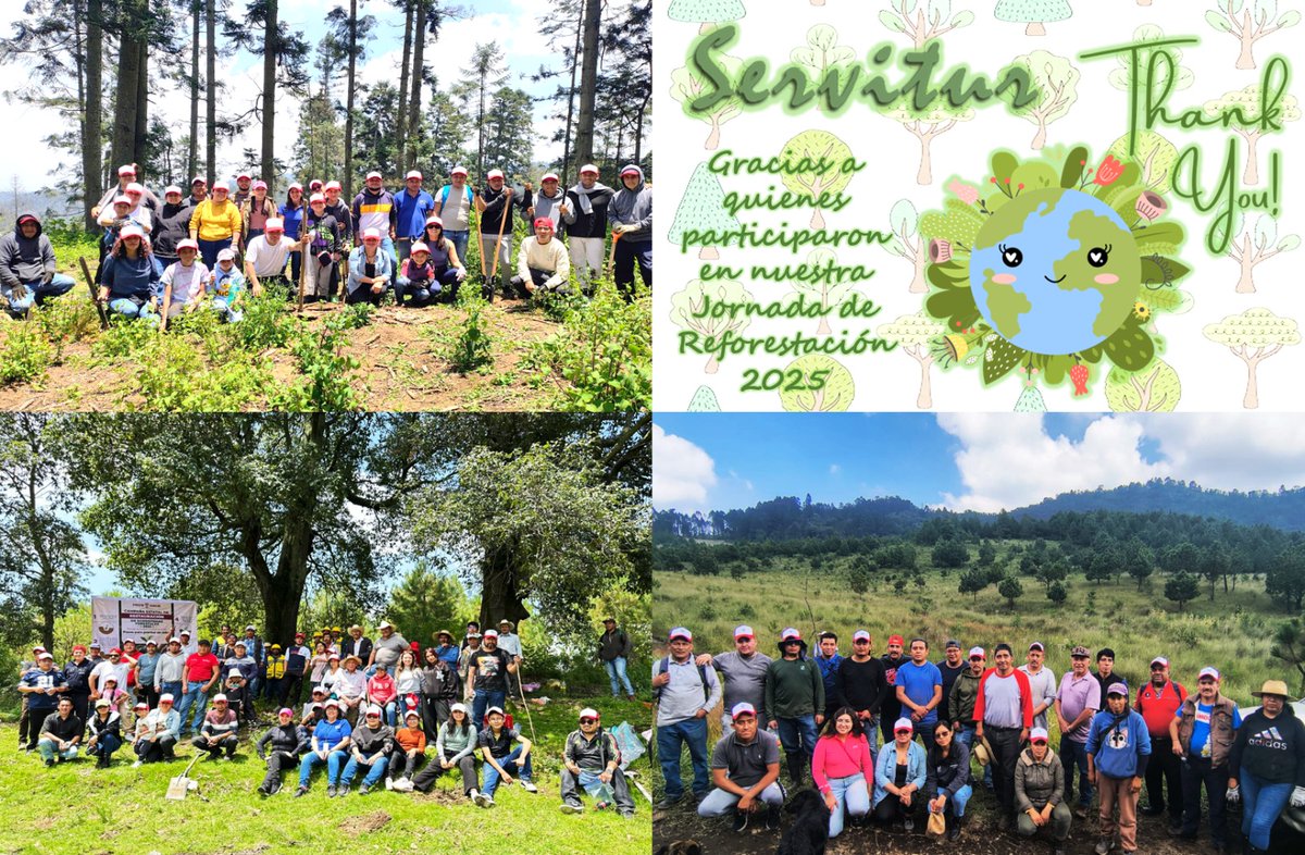ServiturGC's tweet photo. Participación en Jornada de Reforestación de Servitur con Probosque 🌱🌳 https://t.co/kELD2LaomQ