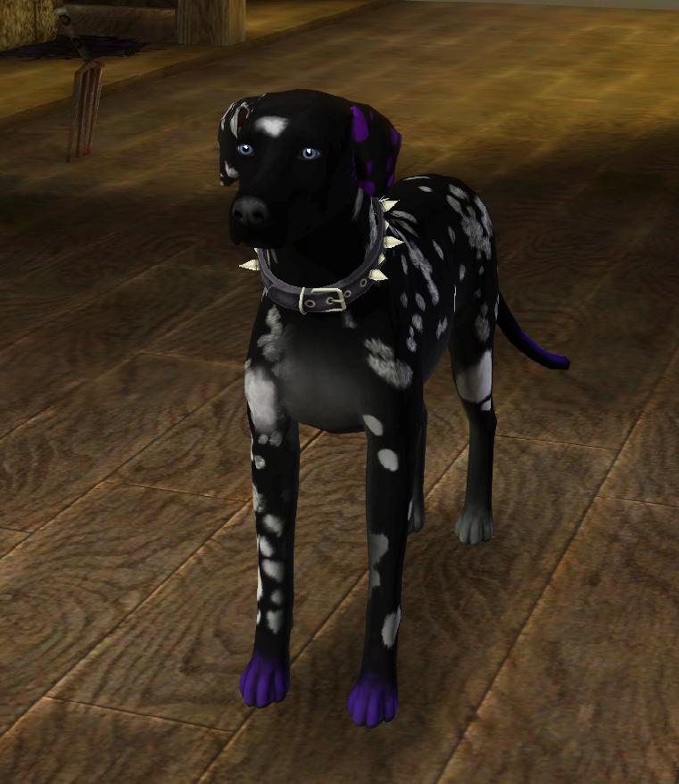 DanteDalmatyncz's tweet photo. Adults Dante and Summer in Sims 3
#TheSims3 #TheSims3Pets #Sims3 #101DS #101DalmatianStreet #UlicaDalmatyńczyków101 #Save101DalmatianStreet #101Dalmatyńczyków #101Dalmatians https://t.co/zlLOWChnY1
