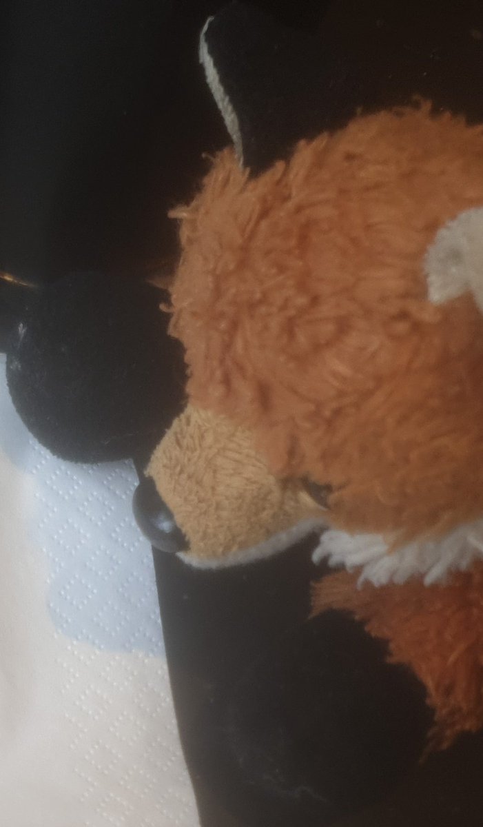 I've lost my ESSA somewhere in the middle of Leeds.. fellow wonderfolk, if anybody is in Leeds shortly the show tonight, the if you find a small Aurora fox plush who looks sorta old and like he's been out for a few hours, PLEASE DM me and if possible try to return him at the show