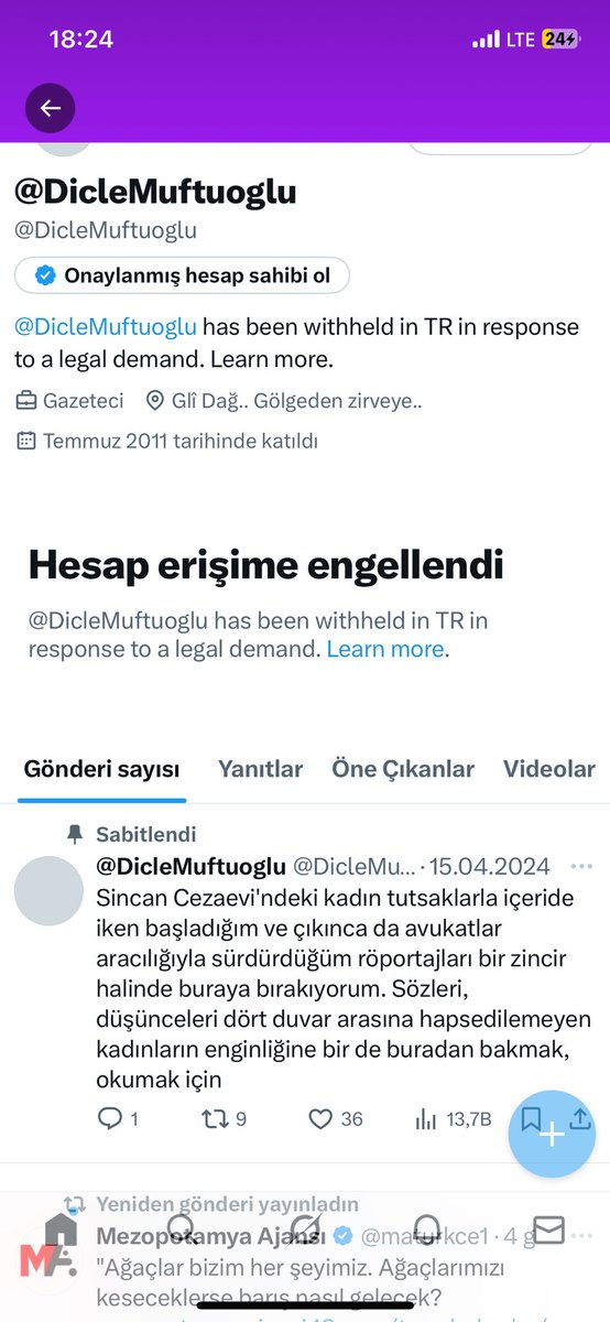 Dicle Müftüoğlu tweet media