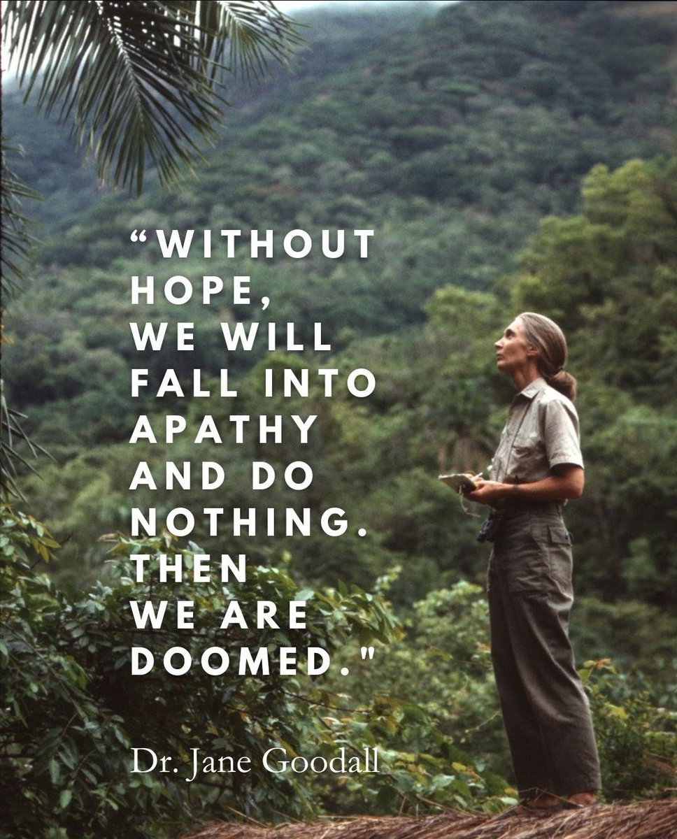 "Without hope, we will fall into apathy and do nothing.  Then we are doomed." 
— Dr. Jane Goodall

Take action