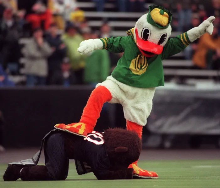 BarstoolDucks's tweet photo. 🚨 IT’S OREGON STATE HATE WEEK 🚨 https://t.co/DnjvbBhGnf