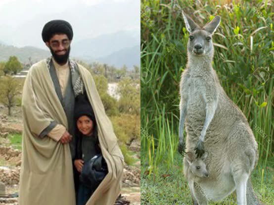 כמאל פנחסי Kamal Penhasi tweet media