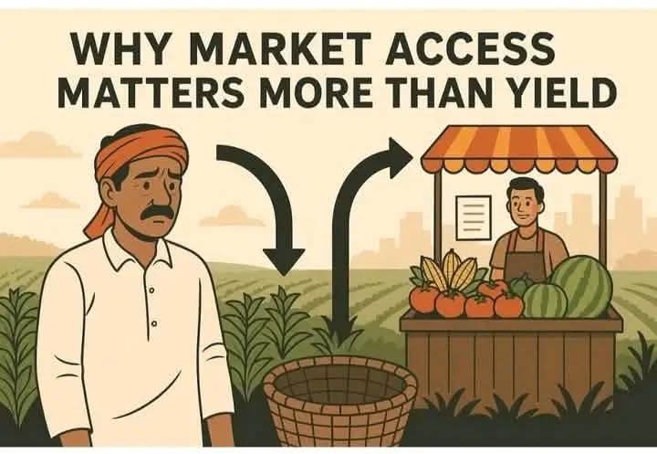 Cynthia Jera tweet media