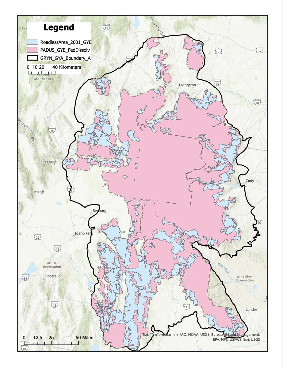 “In the Greater Yellowstone Ecosystem the roadless areas tend to be on the lands surrounding the Designated Wilderness and Wilderness Study Areas. They are generally lower in elevation and likely includes more productive habitats." - Dr. Andrew Hansen

yellowstonian.org/scientists-und…
