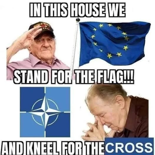 Trace 🇵🇱 tweet media