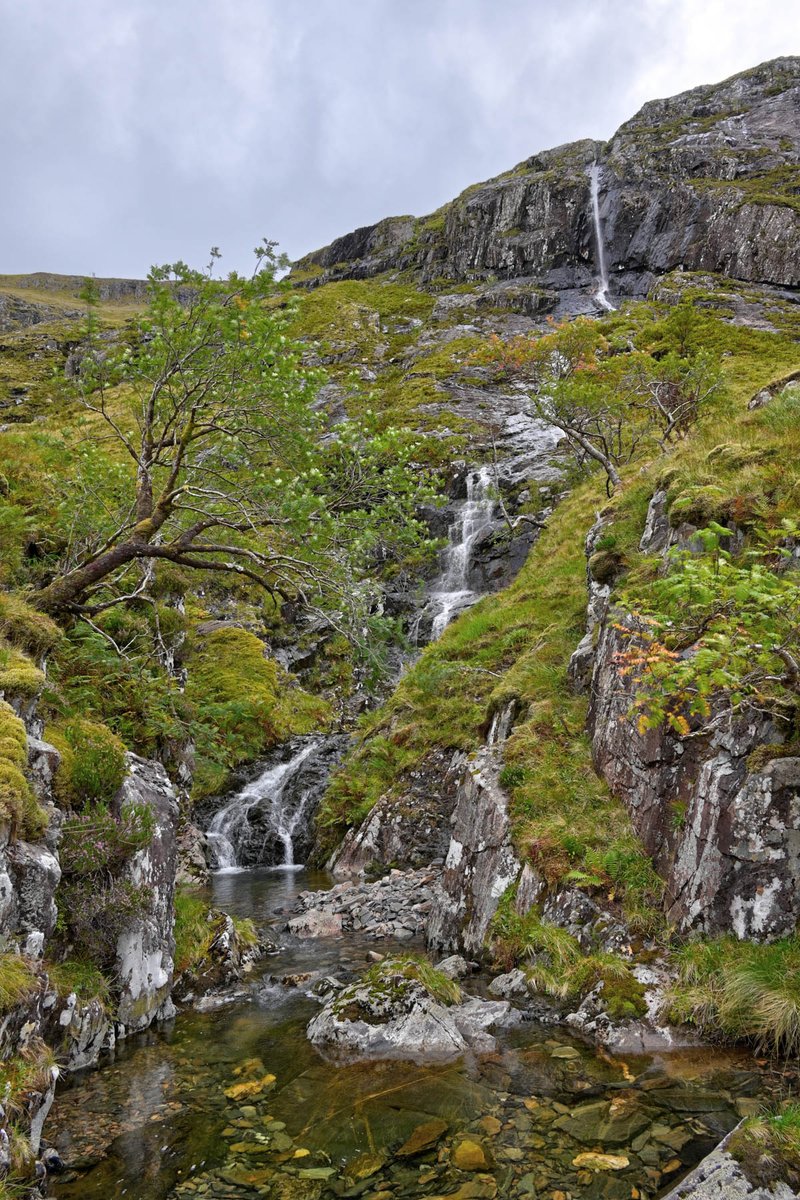 Spurtle284's tweet image. 1 of 7 on the South Shiel ridge - Creag nan Damh via stalkers paths. 9th September 2025.

kinleyhazel.wordpress.com/2025/09/09/1-o…