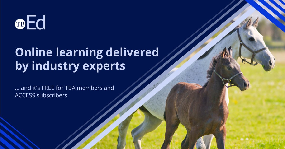 For #internationalonlinelearningday, perhaps take a look at one of our courses like.....

🪣Feeding Youngstock for Sales Preparation
🐎Foaling the Mare Programme
🩺Equine Biosecurity Essentials

Get to know more 👉 tb-ed.co.uk

#EquineEducation #OnlineLearning