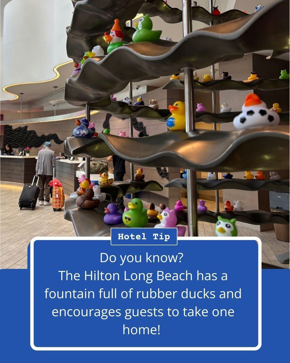 Our convention hotel, the  Hilton Long Beach, has a pool, a fitness center… and a tradition of sending guests home with a rubber duck! 🦆 #AJHA2025