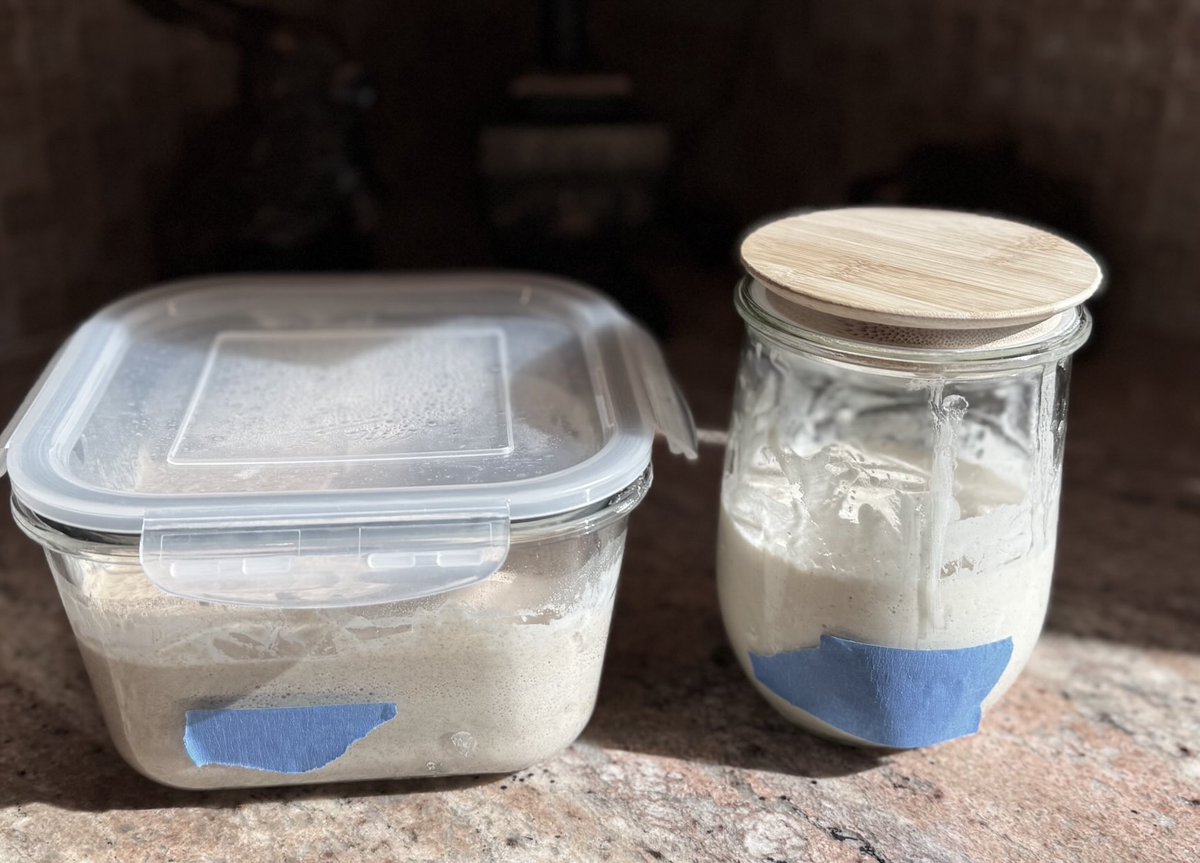 I’ve had a very stressful 2 days. After my last bake, I noticed my starter wasn’t snapping back. I think too many vacays in August took its toll. 

I’m relieved to report that after 3 consecutive feedings, The Big Bang is back in business. And, we have a whole wheat offshoot.