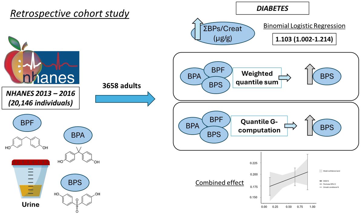 Mónica Grande-Alonso et al. analyzed the possible combined effect of the mixture of the three most relevant bisphenols in modern industry with the risk of diabetes mellitus.

Check it here: mdpi.com/2673-4540/6/9/…