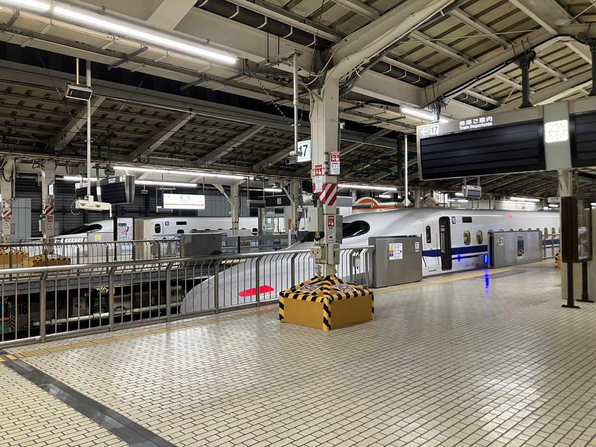 にこちゃん⭐︎引越しSALE中 猫フライ(ねこふらい) (@B4YO_DDR) / X