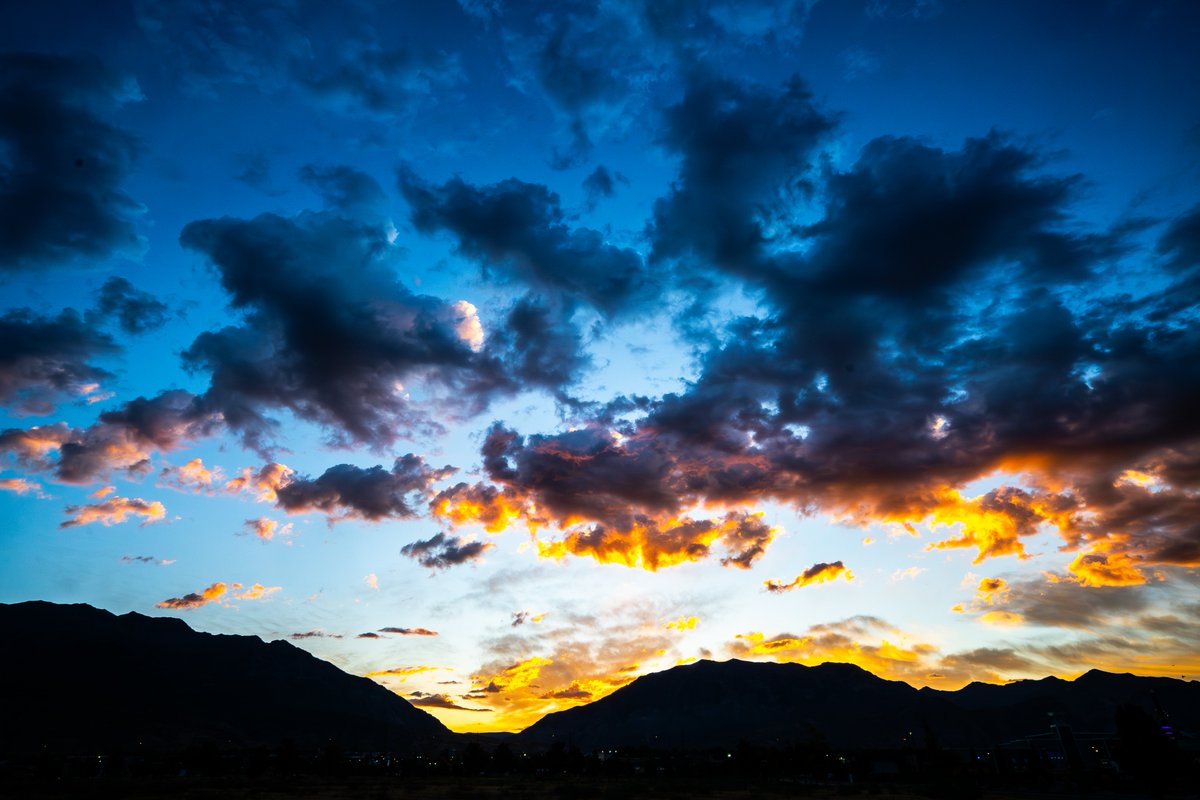 workingitoutnow tweet media