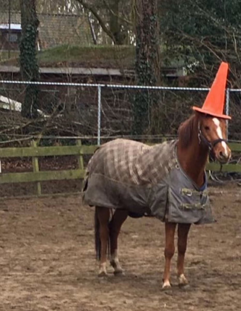 how it feels to wear a new article of clothing for the first time
